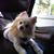 Cindy Zaccardi's profile image