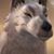 Cody Mattson's profile image