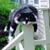 Ann Davis Poppy's profile image