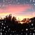 Giuseppe Faggian's profile image