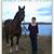 Shelton Bruns Milner's profile image