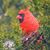 Kathy Temple Demkowicz's profile image