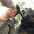 Mark Lassow's profile image