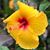 Marla Ongradi's profile image