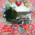 Terri Chattin's profile image