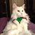 Jennifer Purdon's profile image