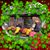 Grace Ferrando's profile image