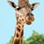 Justin Riley's profile image