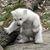 Darlene Moulton's profile image