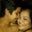 Jose Lopez's profile image