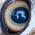 Mike Merchant's profile image