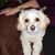 Lois Agrusa's profile image