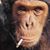 Steven Healey's profile image