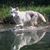 Dean Sawyer's profile image