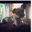 Maggie's profile image