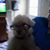 Christina Letsinger's profile image