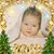 Lisa Botelho's profile image