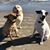 Susan Callins Davis's profile image