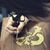 Samantha Brookshire's profile image