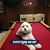 Joann DeFilippis's profile image