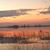 Karen Hadden's profile image