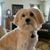 Judy Hamrick's profile image