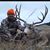 Shane Marheine's profile image