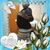 Moet Jones's profile image