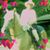 Mary Jane Witty's profile image