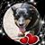 Marty Naugher's profile image