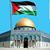 Mohamed Elgendi's profile image