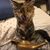Linda Eav's profile image