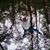 Craig Heitzler's profile image