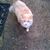 Judith Smith's profile image