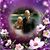 Christine Ricci VanderMeer's profile image