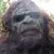 Dustin Holland's profile image