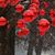Kelly Smith Hite's profile image