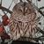 Holly Plaisted's profile image