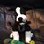 Austin Adair's profile image