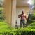 Joe Tolliver's profile image
