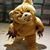 Teddy Bare's profile image