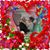 Betty Carter's profile image