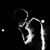 Rachel Prill's profile image