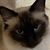 Valerie Winn's profile image