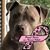 Judy Simmerer's profile image