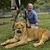 Alison Rockhold's profile image