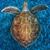 Chris Sherman's profile image