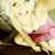 Angi Ankrom's profile image