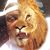 Mike Jones's profile image