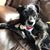 Robyn Amy Ziffer's profile image